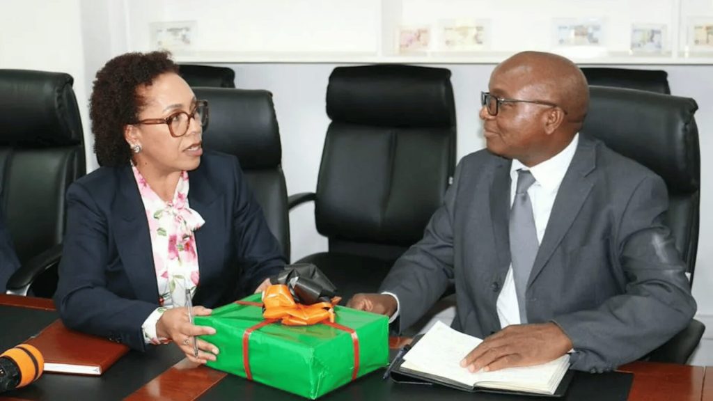 Felix Nkulukusa and Tax Appeals Tribunal Chairperson Diana Bunting mark progress on Zambia domestic financing 2026 during a Ministry of Finance courtesy call