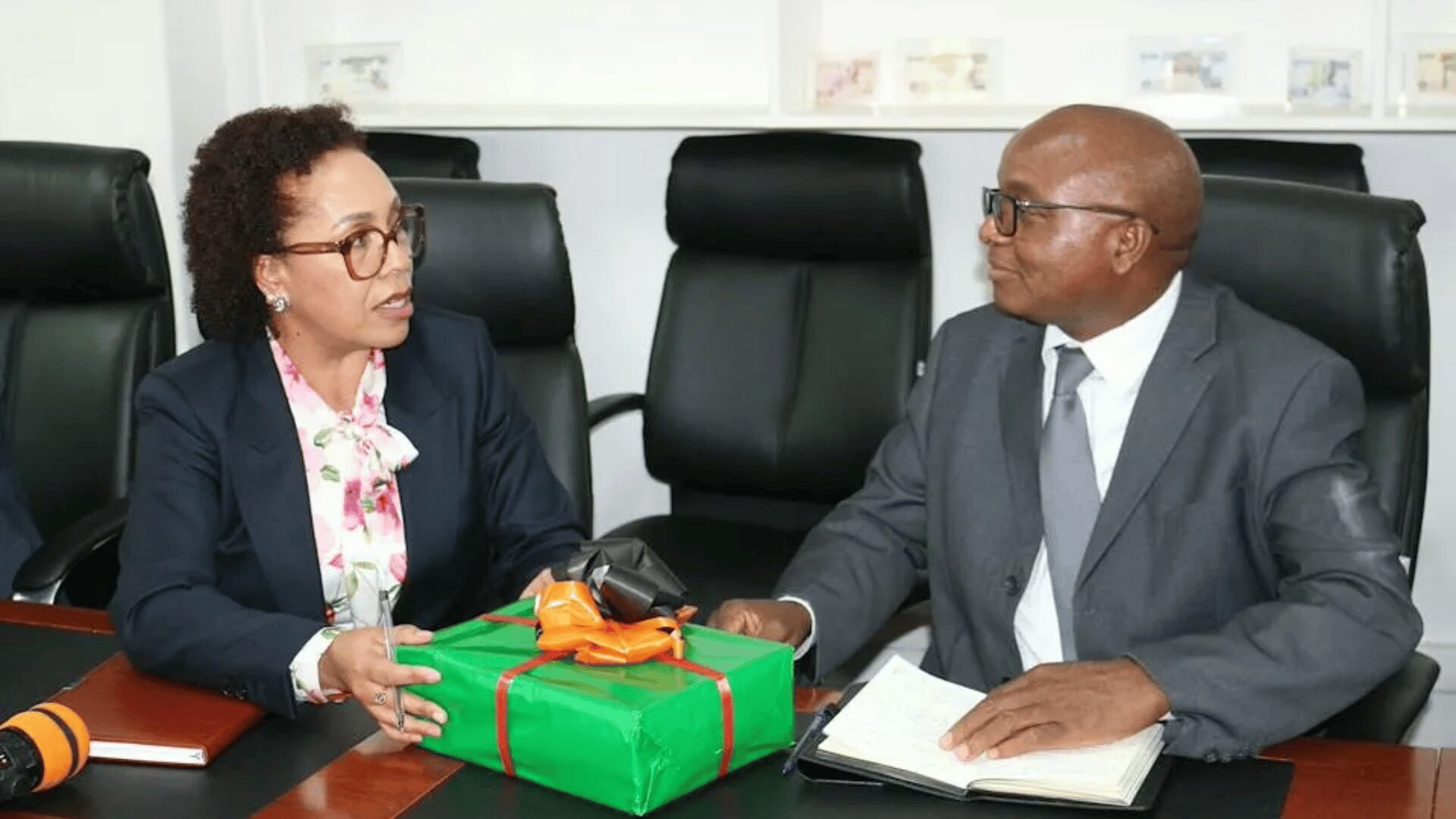 Felix Nkulukusa and Tax Appeals Tribunal Chairperson Diana Bunting mark progress on Zambia domestic financing 2026 during a Ministry of Finance courtesy call