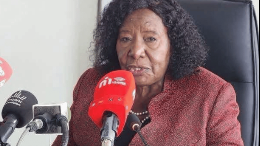 ECZ Chairperson Mwangala Zaloumis speaking at a media briefing