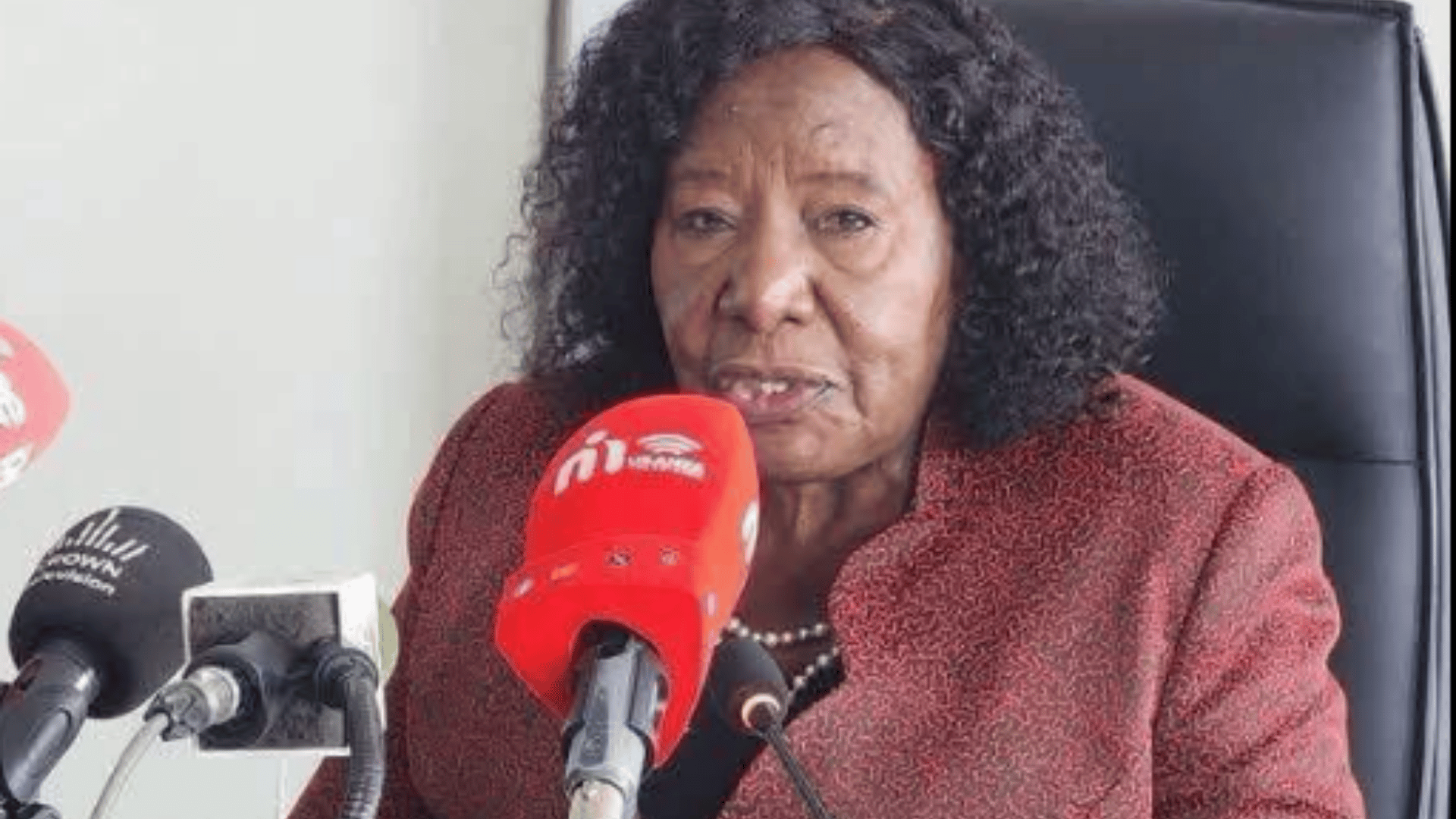 ECZ Chairperson Mwangala Zaloumis speaking at a media briefing