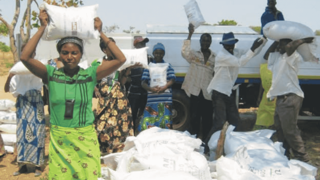 Zambian smallholder farmers queueing to redeem agricultural inputs under the Food Security Pack programme
