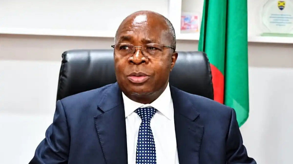 Finance Minister Dr Situmbeko Musokotwane speaking at his desk in Lusaka, Zambian flag behind him