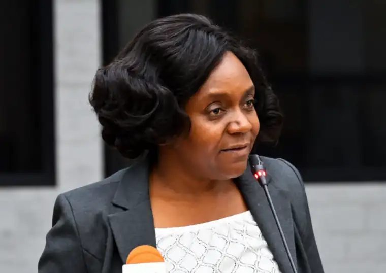 Delegate speaking into a microphone during Zambia's 2027 Budget Hearings