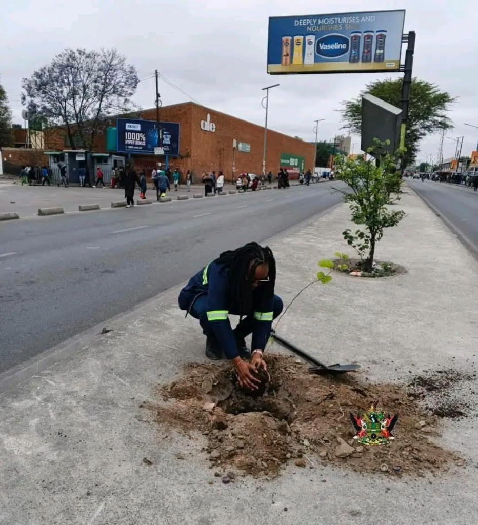 A person in reflective workwear plants a sapling beside an urban road.