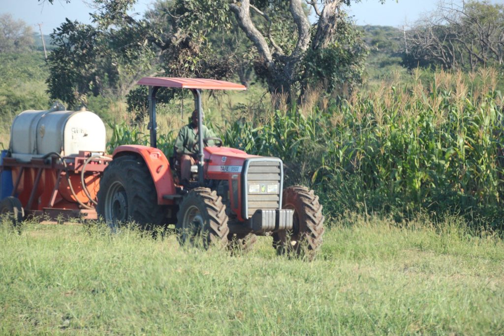 A farmer drives a tractor beside a maize field in southern Zambia, March 2019.