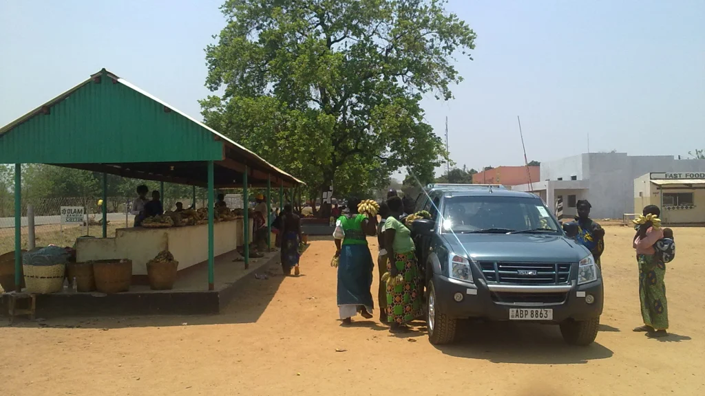 Fruit vendors beside a vehicle at a community market in Zambia, photographed in October 2010.